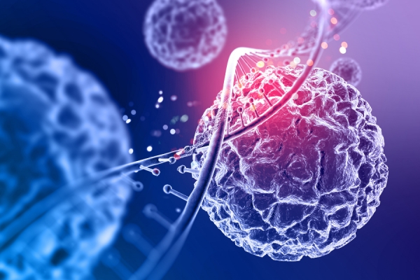 Biodruk 3D może zrewolucjonizować badania kliniczne i transplantologię. Już za kilka lat będzie można wydrukować z kom&oacute;rek zdrowe narządy do przeszczepu